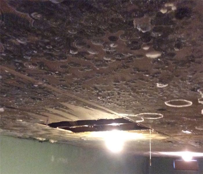 Water damage and accompanying mold in Spokane Valley Basement