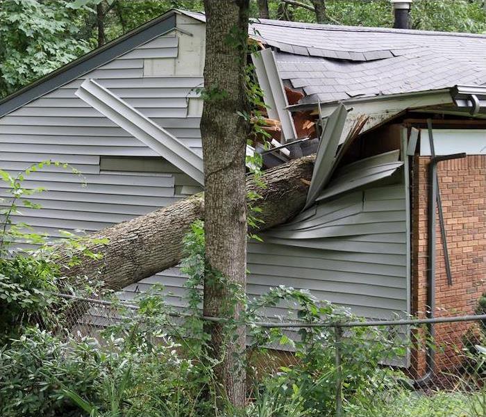 Storm causes tree to fall on home