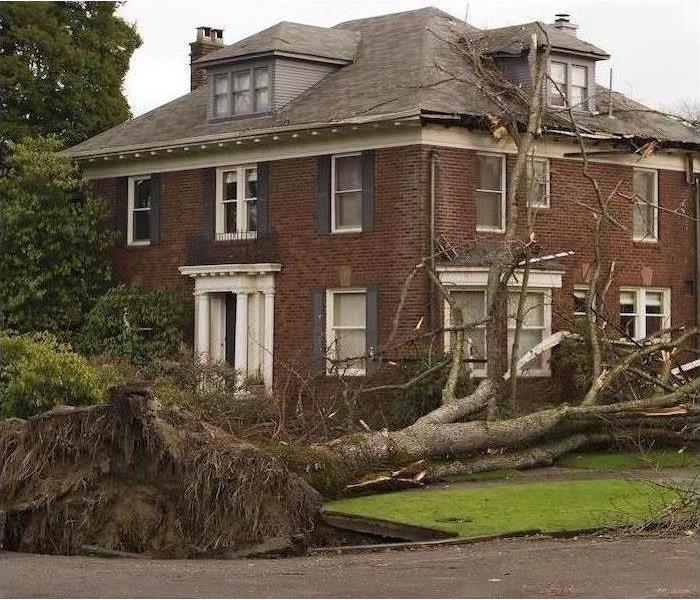 Large home with fallen tree in front